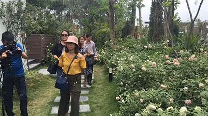 Sắp có "Vương quốc hoa hồng" đầu tiên tại Việt Nam