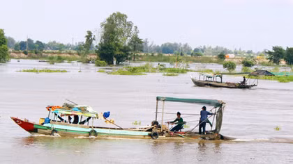 Cần kiên quyết xử lý ghe cào điện tận diệt cá đồng mùa nước nổi