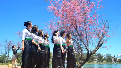 Chơi giữa mùa hoa