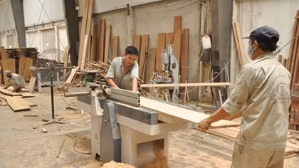 Xuất khẩu đứt đoạn khiến ngành gỗ “đóng băng”