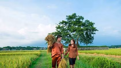Những cuộc chia tay không lời...