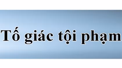 Cơ quan điều tra trong CAND tiếp nhận tố giác, tin báo về tội phạm, kiến nghị khởi tố 24/24h