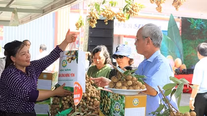 Cách nào khơi thông xuất khẩu nông sản sang Trung Quốc?