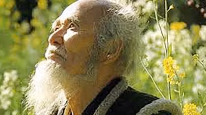 Trong đại dịch, đọc Masanobu Fukuoka