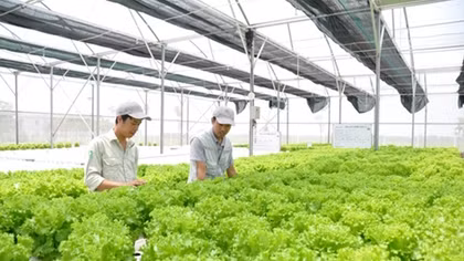 VietinBank đồng hành cùng Nông nghiệp sạch Việt Nam