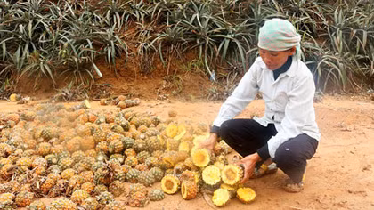 Cần xây dựng "văn hóa biết dị ứng với cái xấu"