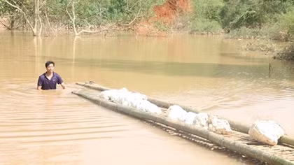 Kon Tum chỉ đạo xem xét, xử lý thủy điện tích nước trái phép