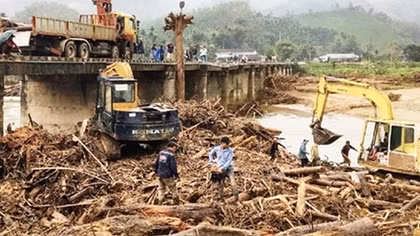 Lũ cuốn gỗ rừng trôi về dày đặc chân cầu Nước Bua