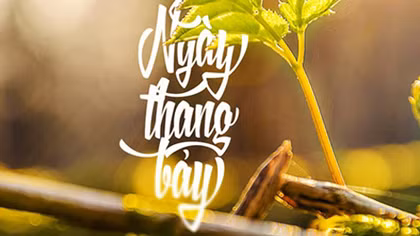 Tháng bảy rồi mình đừng hò hẹn