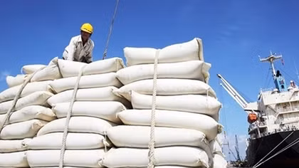 Lập đoàn công tác kiểm tra 5 doanh nghiệp xuất, nhập khẩu gạo