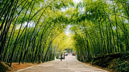 Nơi ta mắc nợ
