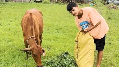 Cậu học trò đạt điểm cao môn Văn nhờ đam mê đọc sách