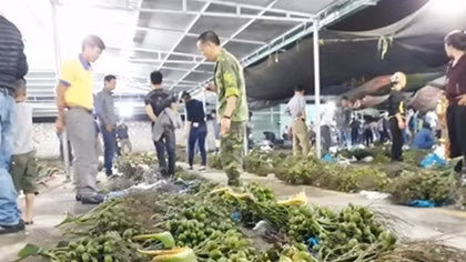 Một ngày làm người của chợ