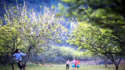 Bản mới vào xuân