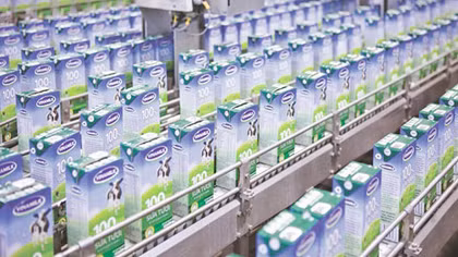 Cách đấu giá của SCIC khiến cổ phiếu Vinamilk “mất giá”?