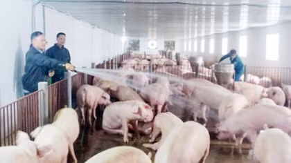 Nhiều hộ kinh doanh trở thành tỷ phú nhờ vốn của Agribank