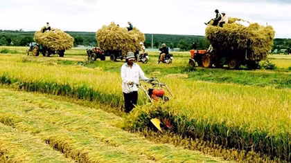 Nhiều rào cản chính sách đất đai cản trở phát triển nông nghiệp