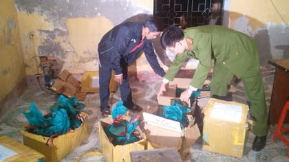 Vận chuyển trái phép 60 kg tê tê từ Kon Tum ra Ninh Bình