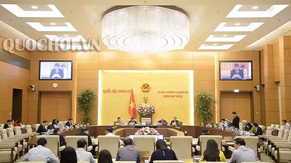 Cần quy định rõ về quản lý kháng sinh, hóa chất trong thức ăn chăn nuôi