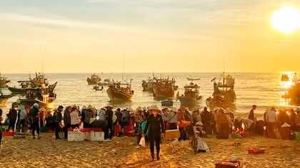 Đi chợ biển Nhân Trạch 