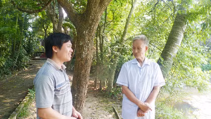 Vườn Bùi lưu truyền một vẻ đẹp