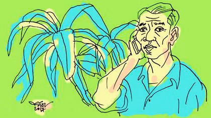 Cuộc hẹn hò bí ẩn 