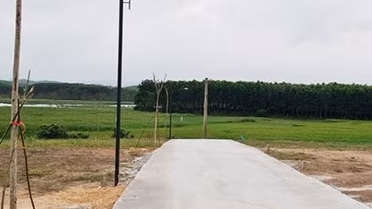 Phân lô, bán nền đất trồng cây lâu năm