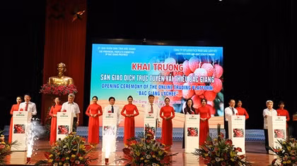Thủ tướng dự lễ xuất khẩu vải thiều sang các thị trường lớn