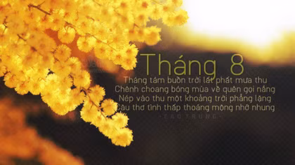 Tháng 8
