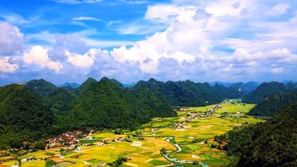 Bay trong thung lũng hoa
