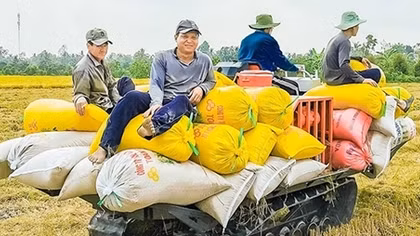 Nông dân miền Tây Nam Bộ “thắng đậm” vụ đông xuân
