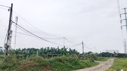 Chuyện lạ ở Hải Phòng: Thu tiền, cấp "sổ đỏ" hơn 10 năm nhưng không giao đất!?