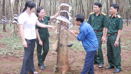 Để Tây Nguyên phát triển bền vững