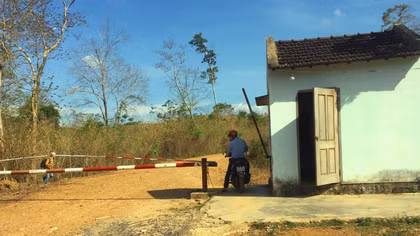 Vụ “trùm” gỗ Phượng “râu”: Thêm một cán bộ lâm nghiệp bị đình chỉ công tác