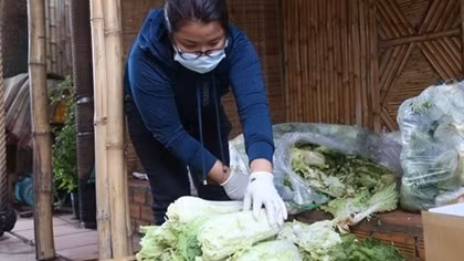 Những chuyến “rau nghĩa tình” người dân Tây Nguyên gửi Đà Nẵng