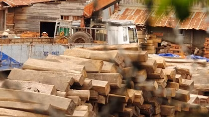 Đắk Lắk: Gỗ tang vật đã bị đánh tráo như thế nào?