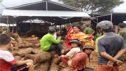 Ngã vào máy cưa, nam thanh niên bị cắt đứt người
