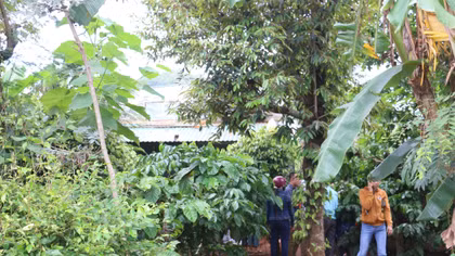 Phát hiện 2 thi thể nghi bị sát hại trong chòi vắng