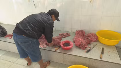 Heo nái bôi đỏ thành thịt bò rồi đưa chế biến cỗ cưới