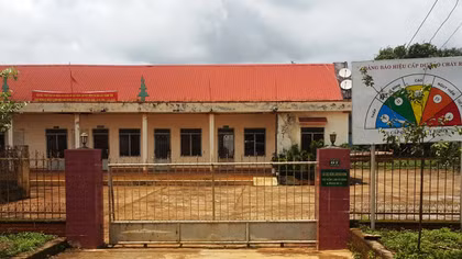 Đội trưởng Kiểm lâm nhận hàng trăm triệu từ trùm gỗ lậu Phượng "râu"