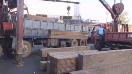 Giám đốc Công an tỉnh trực tiếp chỉ đạo bắt gỗ lậu