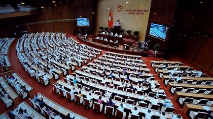 Đại biểu Quốc hội lo lắng việc tái diễn các "chiến dịch giải cứu" nông sản