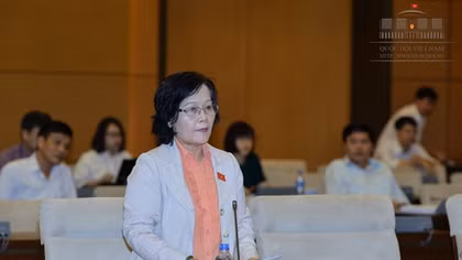 Sáng kiến lập pháp đầu tiên của đại biểu Quốc hội chưa thành hiện thực
