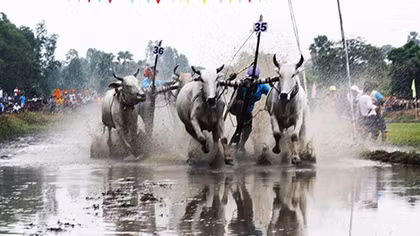 Rộn ràng lễ Sene Dolta của đồng bào Khmer Nam Bộ