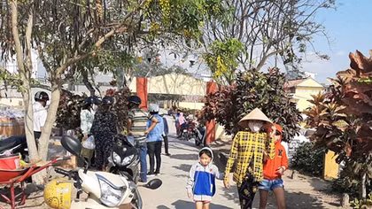 Bất chấp dịch COVID-19, nhiều người vẫn đi cúng thanh minh 