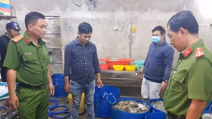 Cơ sở thu mua tôm bơm tạp chất vào tôm nguyên liệu