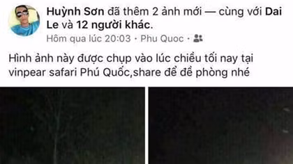 Thông tin hổ xổng chuồng ở Phú Quốc là bịa đặt