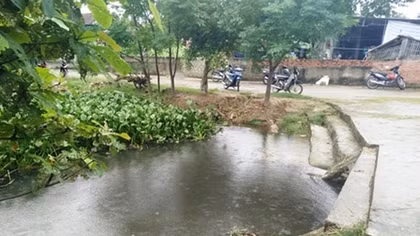 Trưởng Ban Tổ chức huyện Năm Căn tử vong bất thường dưới cống