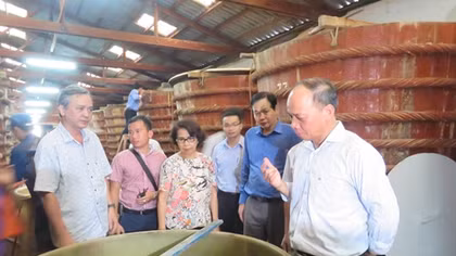 Bảo vệ nước mắm truyền thống, gắn với khai thác bền vững nguồn lợi cá cơm