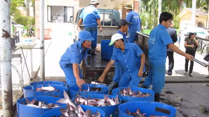 Phát triển các ngành có khả năng tham gia vào chuỗi cung ứng toàn cầu